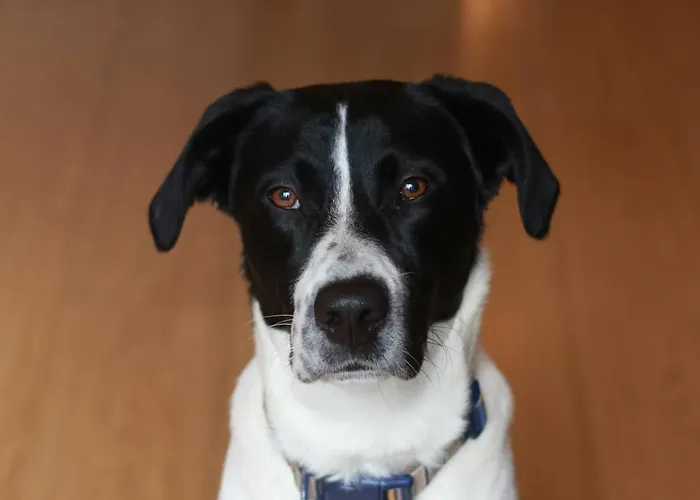 The Hive - Luxury Ensuite - Full Privacy As Only On The Floor!