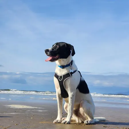 The Hive - Luxury Ensuite - Full Privacy As Only On The Floor! Habitación en casa particular Dublín