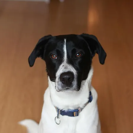 The Hive - Luxury Ensuite - Full Privacy As Only On The Floor!