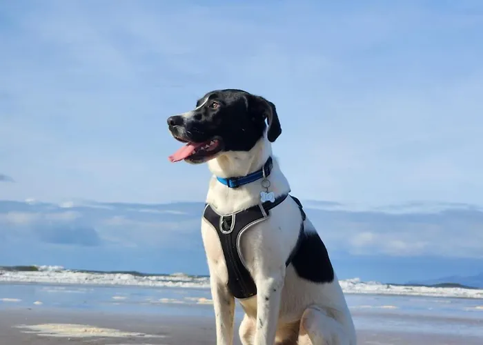 The Hive - Luxury Ensuite - Full Privacy As Only On The Floor! Проживание в семье Дублин